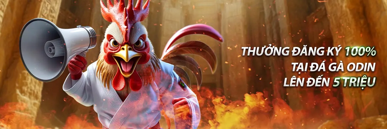 Tổng quan các hướng dẫn trò chơi chi tiết tại 5vin link vào